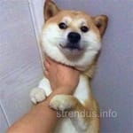 Avatar Laura Martínez